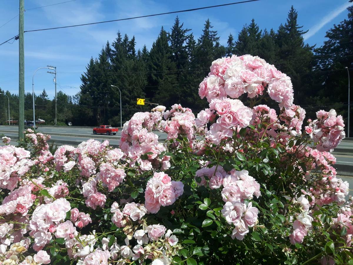 Fuller Lake Chemainus Motel Luaran gambar